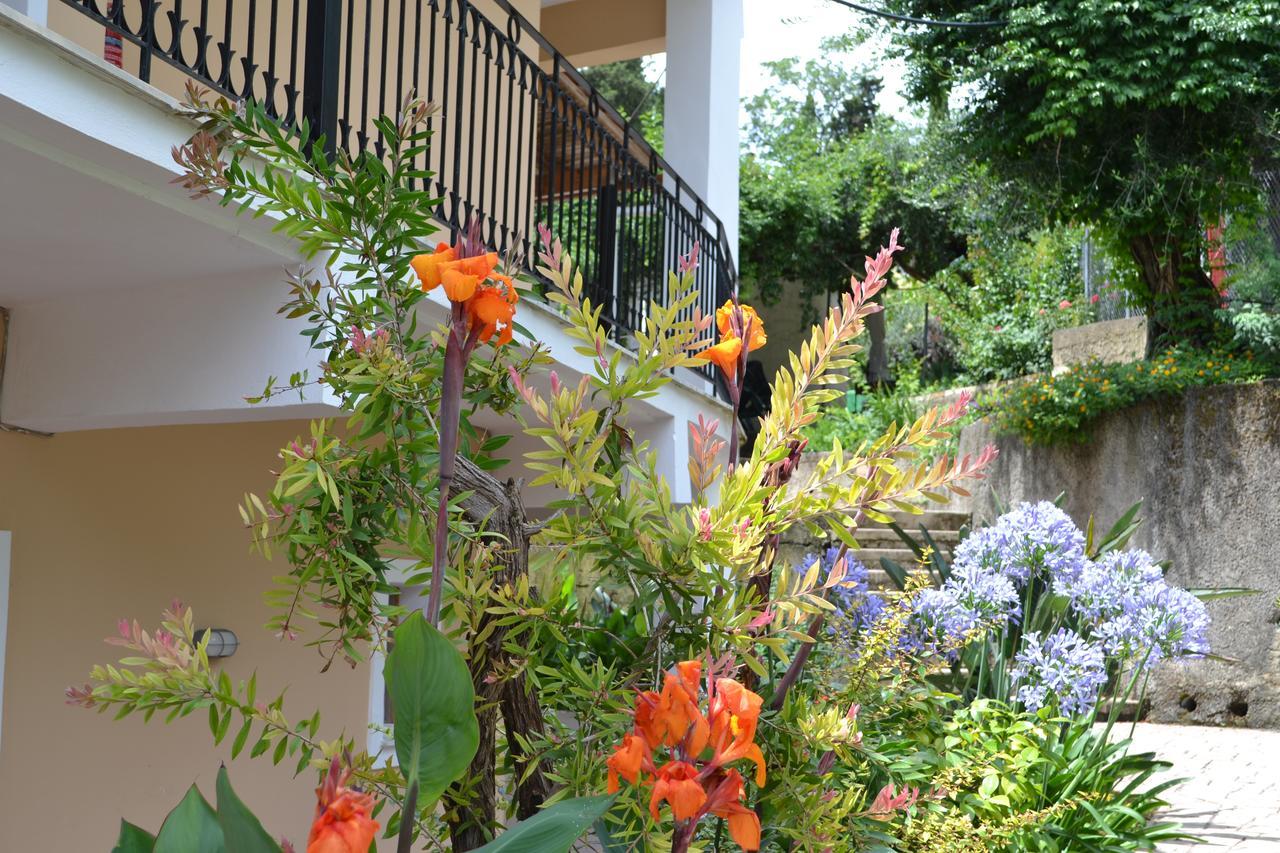 Iliana Studios Benitses (Corfu) Exterior foto